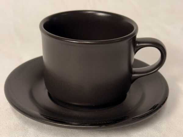 Elegant Black-0n-Black Coffee/Tea Cup with Saucer by Pfaltzgraff