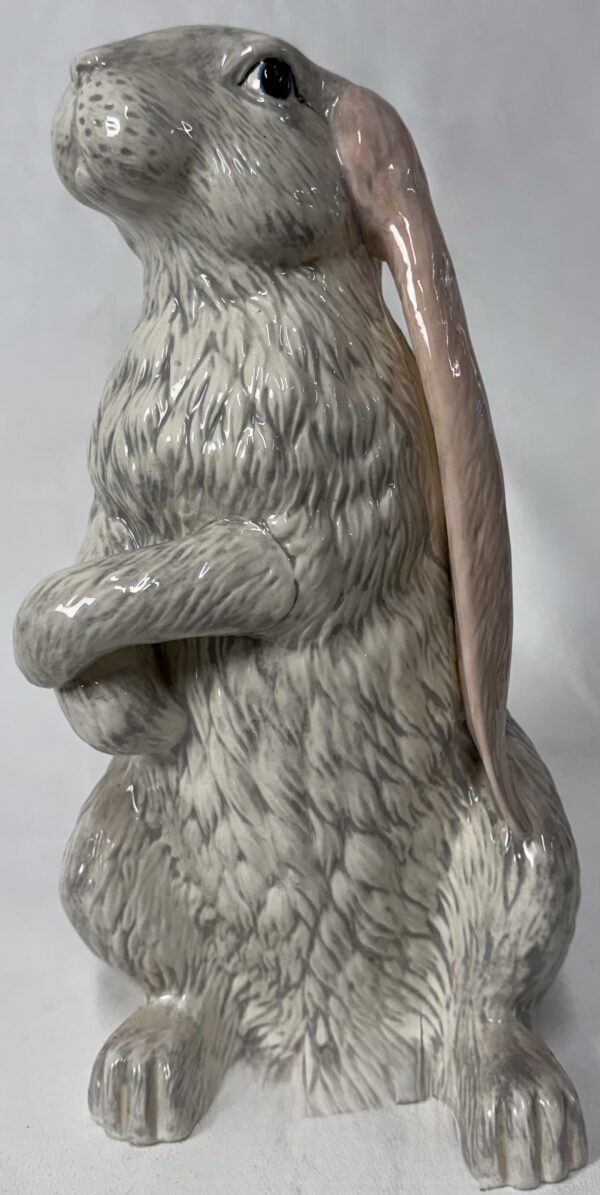 Beautiful Bunny - Pick Up Only - Image 7