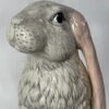 Beautiful Bunny - Pick Up Only