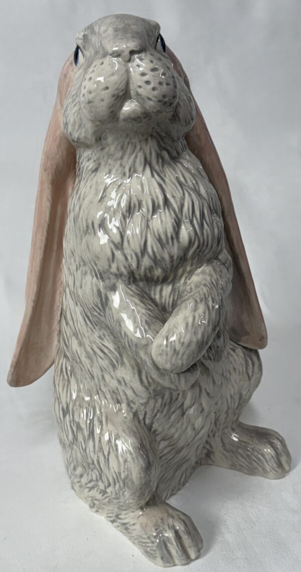 Beautiful Bunny - Pick Up Only - Image 2