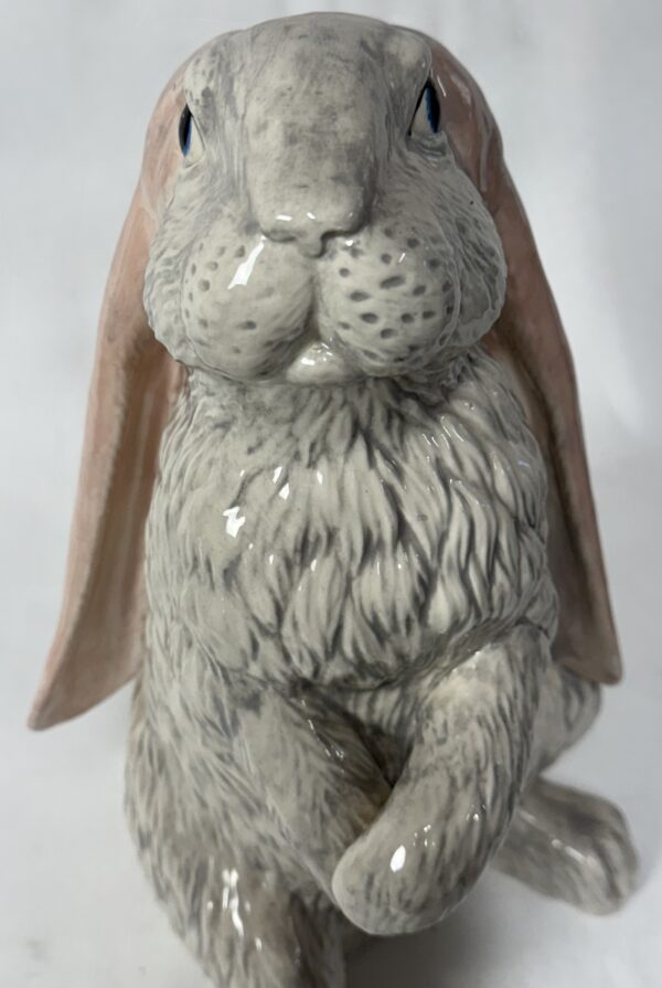 Beautiful Bunny - Pick Up Only - Image 6