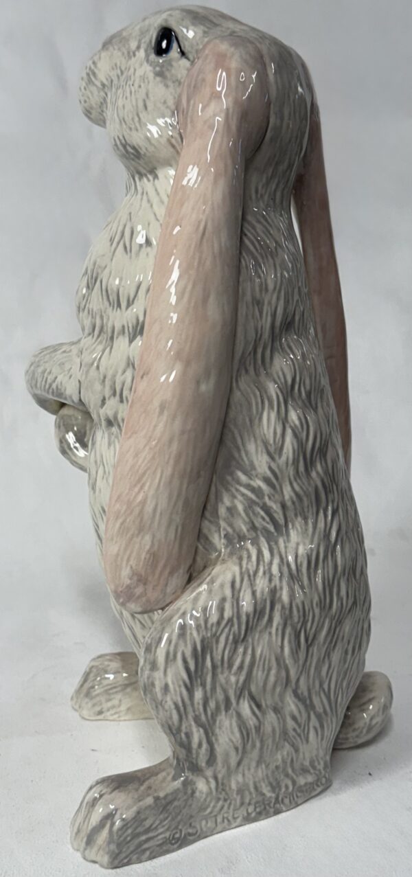 Beautiful Bunny - Pick Up Only - Image 3